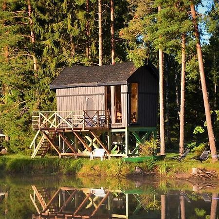 Dragon House In The Tree! Jacuzzi, Sauna ,Cinema,Heated Lici  Extérieur photo