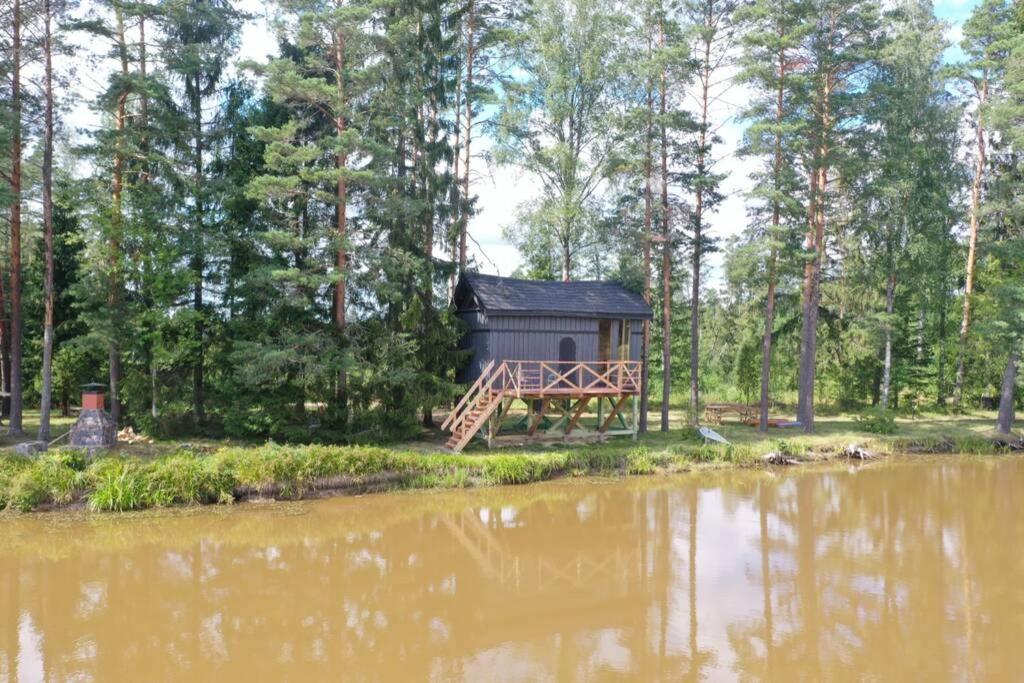Dragon House In The Tree! Jacuzzi, Sauna ,Cinema,Heated Lici  Extérieur photo