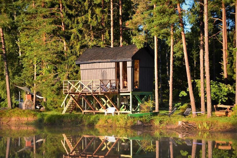 Dragon House In The Tree! Jacuzzi, Sauna ,Cinema,Heated Lici  Extérieur photo