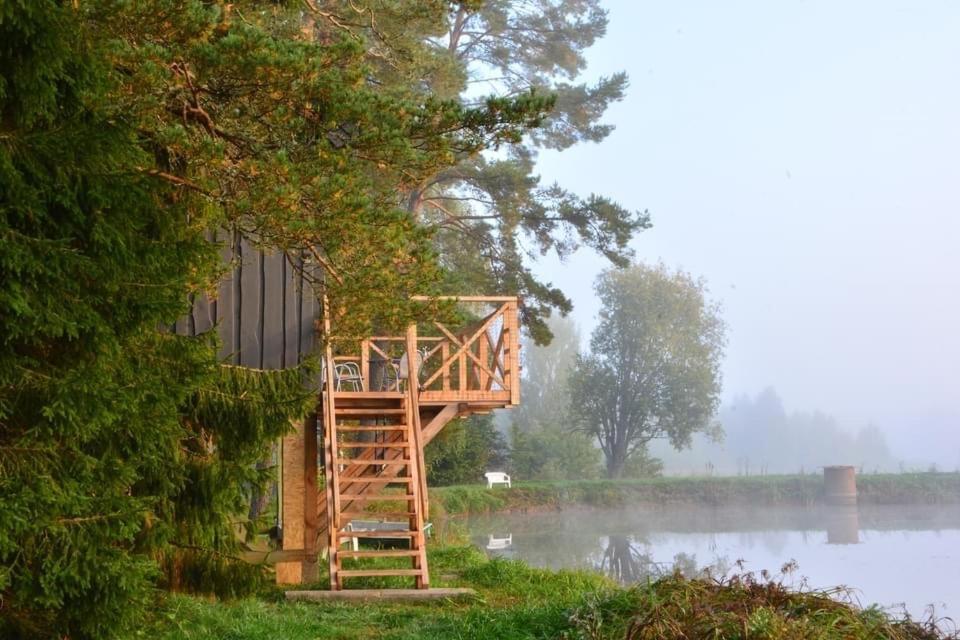 Dragon House In The Tree! Jacuzzi, Sauna ,Cinema,Heated Lici  Extérieur photo