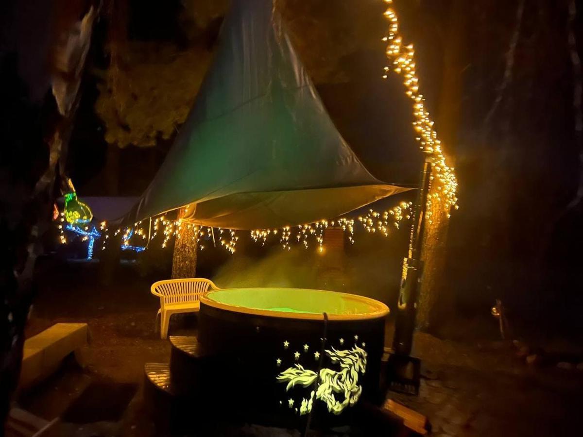 Dragon House In The Tree! Jacuzzi, Sauna ,Cinema,Heated Lici  Extérieur photo